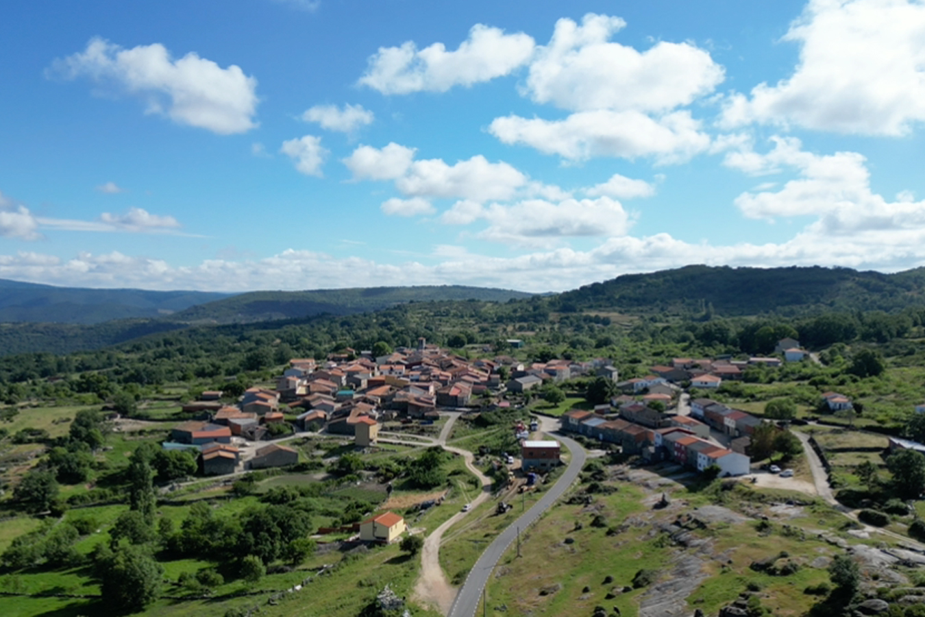 Pinedas