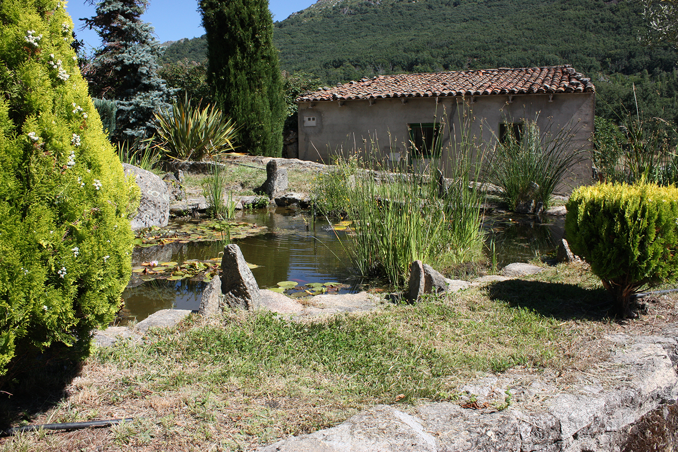 Sanchotello