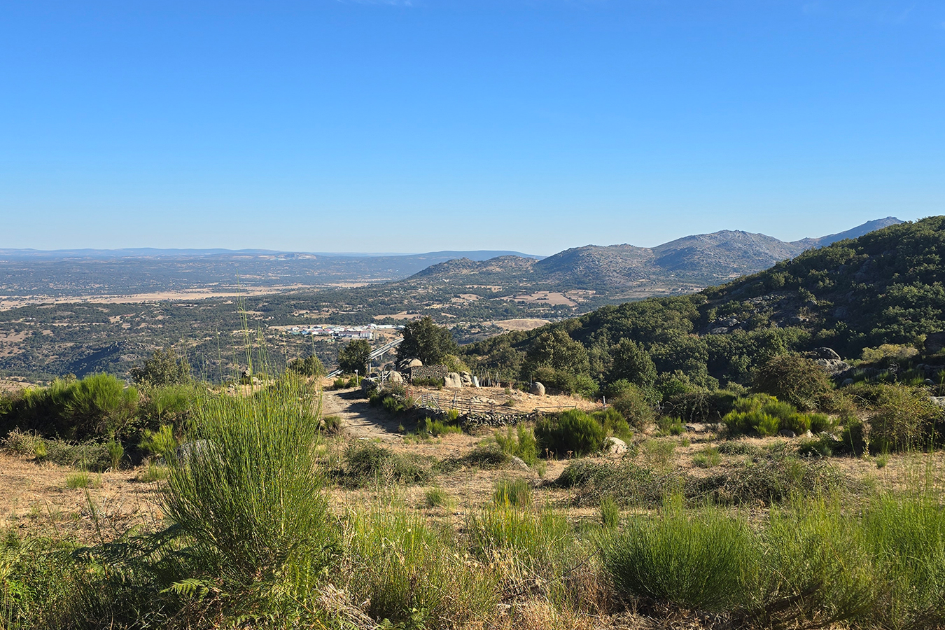 Cantagallo